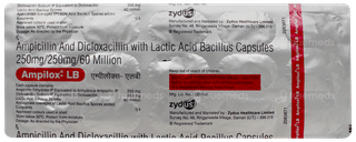 Ampilox Lb Capsule 15